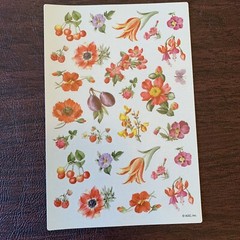 Vintage AGC Inc. – Wild Flowers Sticker Sheet