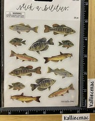 FISH Stickabilities The Paper Studio Stickers 2 Strips in pkg GONE FISHING 26PCS