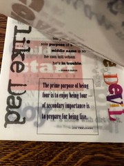 BOY Vellum Quotes & Sayings • 24 Sheets Over 75 Phrases• K&Company Hopscotch NEW