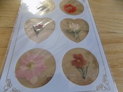 Vintage Real Pressed Flower Sticker secure stationery & envelopes stickers