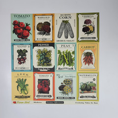 October Afternoon Farm Girl Scrapbooking Lot 12×12 Paper Stickers Die Cuts Cards