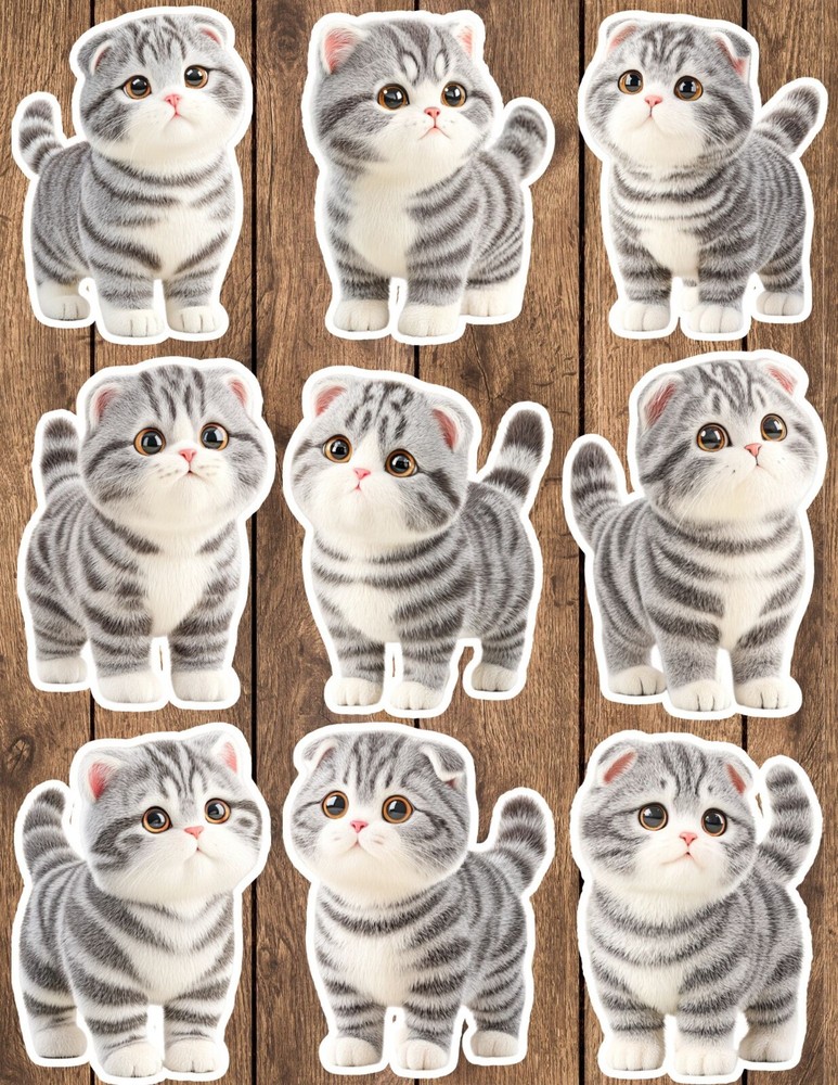 Scottish Fold Kitten Die Cut Vinyl Stickers Set Scrapbooking Laptop Water Bottle