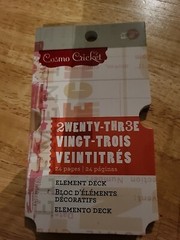 RARE Cosmo Cricket «2wenty-Thr3e» Sticker & Paper Bundle