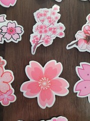 STICKERS x 10 Flowers Pink Cherry Blossom Orchid Tree Sticker CHE5