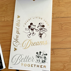 The Happy Planner – Disney – Mickey and Minnie Mouse Calendar Stickers