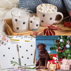 Paw Stickers, 2000 Pcs 0.5 Inch Clear Puppy Dog, Black Bear Paw Prints Self-Adhe
