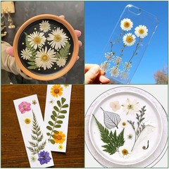 204 Pcs Dried Pressed Flowers for Resin Crafts, Real Purple Pink 204pcs