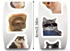50 Mini Cute Cat Meme Stickers – Kitty Decals Phone Water Bottles Laptops