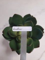 Deadline Stickers for Calendars, Planners, Agendas, and Journals