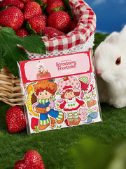 Strawberry Shortcake Cute Cartoon Licensed Adhesive Stickers – Pack of 42