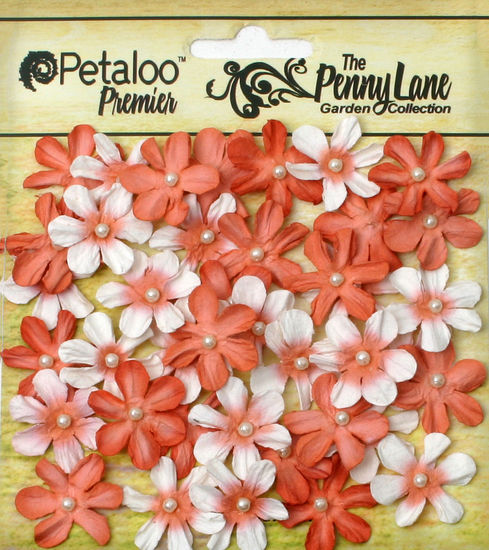 Mini Daisies Petite ANTIQUE PEACH 40Paper 20-22mm Pearl Centre Penny Lane Pet XC