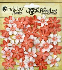 Mini Daisies Petite ANTIQUE PEACH 40Paper 20-22mm Pearl Centre Penny Lane Pet XC