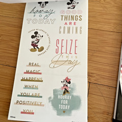 The Happy Planner – Disney – Mickey & Minnie Mouse Calendar Stickers 2