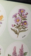 Vintage American Greetings Stickers Flowers Bouquets Daffodil Roses 1 Sheet