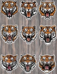 Angry Tiger Head Die Cut Vinyl Stickers Scrapbooking Laptop Waterbottle