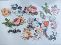 Lot 115+ Anna Griffin Scrapbooking Paper Embellishments Floral Die Cut Paper