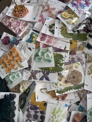 1,070 Pks Recollections Scrapbook Flowers Leaves Butterflies Lot New