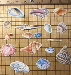 25 sea shell sticker pack, sticker bundle, ocean stickers, journal, scrapbook