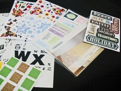 Lot Shell & Dusty Rose Photo Mounting Paper, ABC Stickers Plus