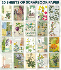 Washi Vintage Stickers for Scrapbooking – Ephemera Book for Journaling with 453