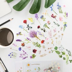 160Pcs Natural Flower Stickers for Scrapbooking,SelfAdhesive Transparent Flow…