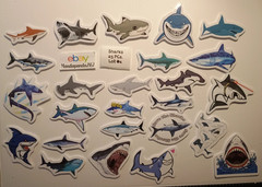 Sharks – Cute – Stickers – 25 PCs Small- 2 styles available! See Description