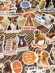 50 Pieces Bundle Pack Dog Theme Stickers Decal High Glossy Finish