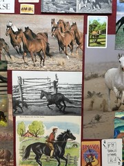 HORSES Curated playing cards & book pages kit Some Vintage 45 Pieces – original