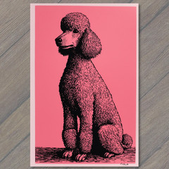 STICKER Poodle Pink Background Sitting Dog Black Line Art Retro Pop Graphic