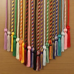 Graduation Cords 2025 Blue Gold 68 Inch Braided Tassel Honor Ropes