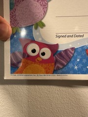 TREND Kindergarten Certificate Owl-Stars PK-K Certificates & Diplomas 8.5″ x …