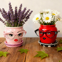 Face Stickers for Crafts,7 Sheets Make a Face Sticker for Pots Flower Stickers
