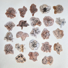 Vintage Style Floral Ink Drawing Stickers Junk Journal Collage Scrapbooking