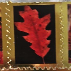 Autumn Leaves Scrapbooking Stickers, Gold Border Red Black Orange Yellow Phrases