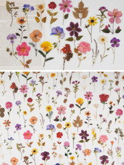 Pressed Flower Themed Stickers Set (320 Pieces) Dried Flowers Resin Stickers Dec