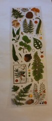 Ornate Sheets Shiny Floral Forest Mushroom Butterfly Scrapbooking Stickers