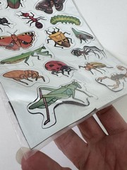 Vintage 90s Magnets Insects Bugs Sheet Fridge Magnets