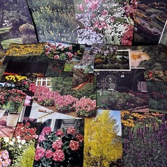 Vintage Floral Ephemera | 50+ Pieces | Botanical Junk Journal Scrapbook Paper
