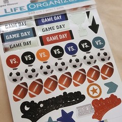 NEW Paper House Life Organized Planner Sticker Book Sports 260 Pcs 4 pgs -C