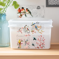 3 Sheets Vintage Rub on Transfers for Crafts and Furniture,Floral and Birds,Cold