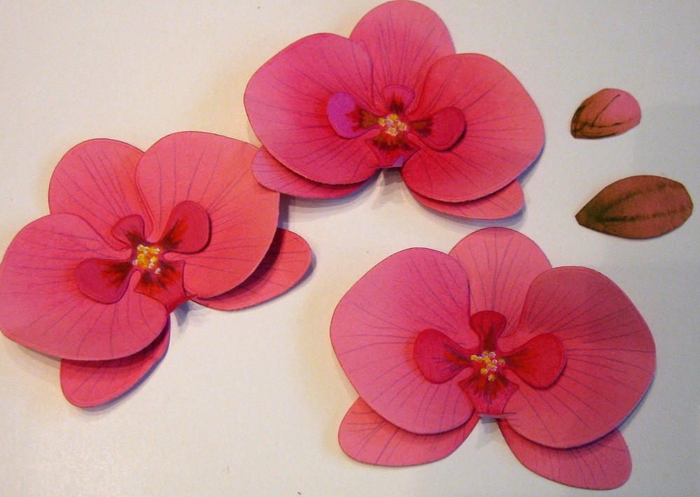 PAPER ORCHID Flowers ~PAPER ONLY~ Papercrafting Scrapbooking