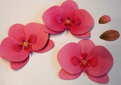 PAPER ORCHID Flowers ~PAPER ONLY~ Papercrafting Scrapbooking