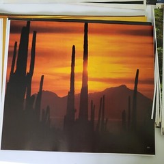 Art Book Pages Landscape Photography Gorgeous 12×10″ Journal Ephemera Vintage