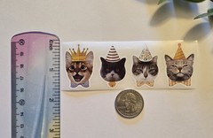 16 Crazy Cat Stickers Silly Feline Stickers Funny Face Cat Stickers Cat Lovers