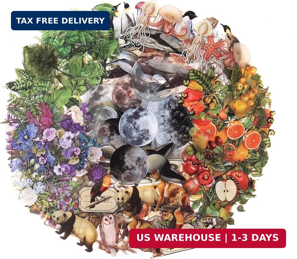 Nature Themed Transparent Pre-Cut Stickers for Scrapbooking, Pack of 240, Flora