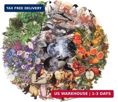 Nature Themed Transparent Pre-Cut Stickers for Scrapbooking, Pack of 240, Flora