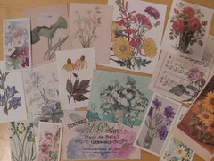 30+ Pieces Floral Vintage Ephemera, Flowers, Botanical Junk Journal, Collage