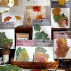 Dried Pressed PET Leaves Stickers 40PCS Maple Ginkgo Leaf Scrapbooking Diary DIY