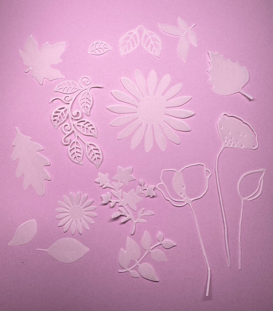 Botanical vellum die cuts, translucent leaves and flowers for cards,scrapbooking