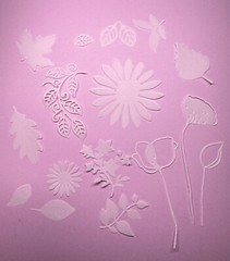 Botanical vellum die cuts, translucent leaves and flowers for cards,scrapbooking